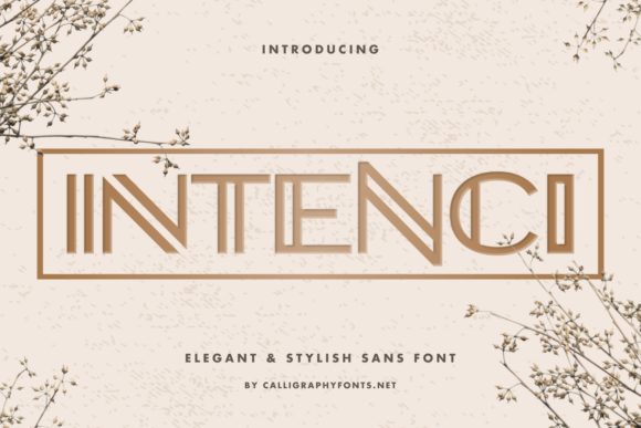 Intenci Font Review: A Premium Display Choice