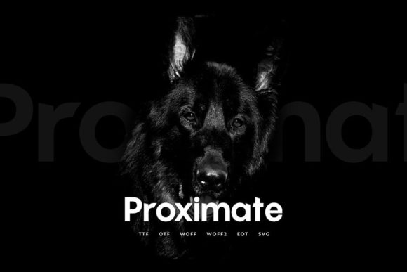 Proximate: The Modern Display Font for Bold Craft Designs